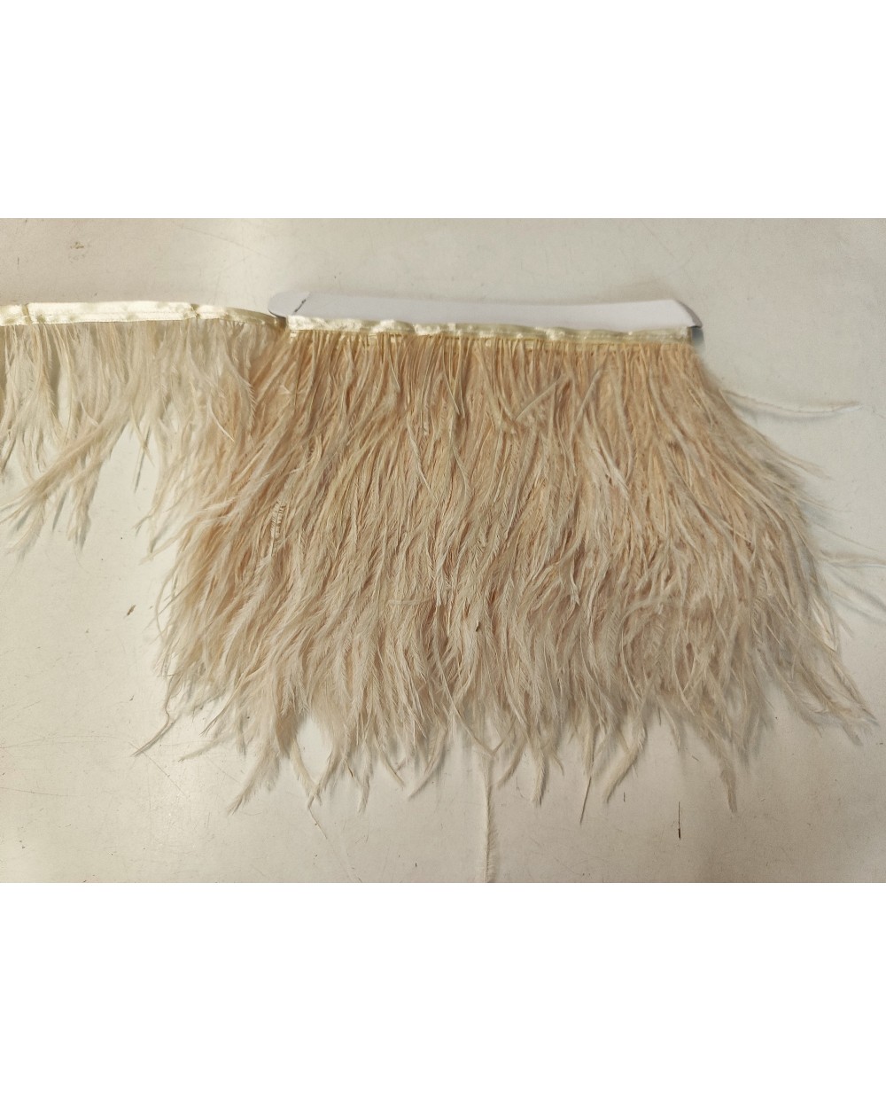 piora-strusie-12-16cm-ecru